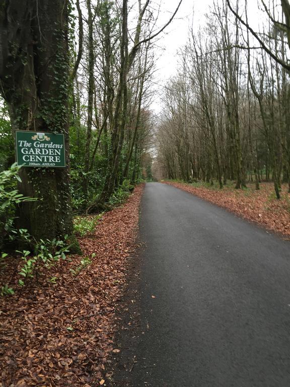 Leitrim Inn Carrick-on-Shannon Экстерьер фото